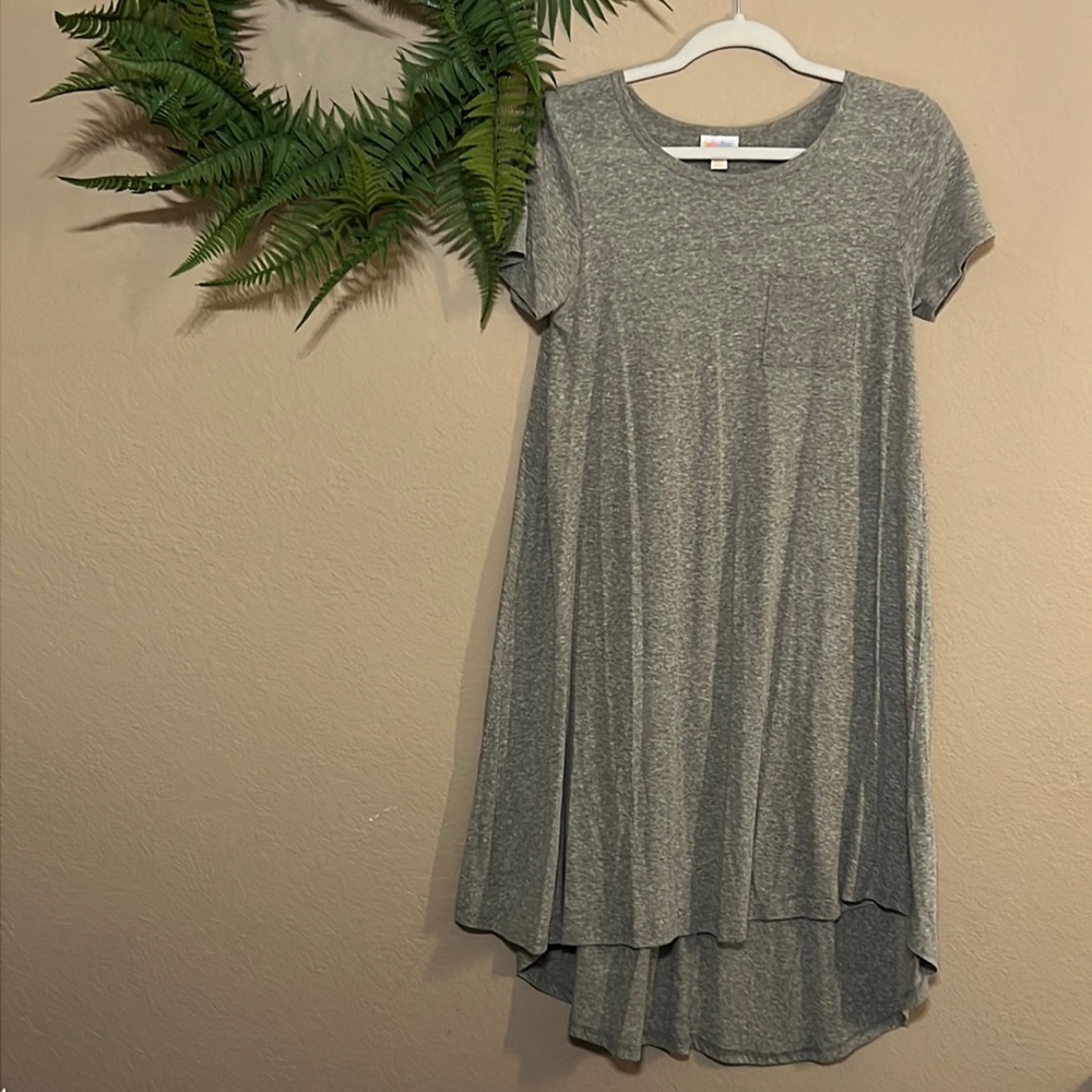 Lularoe Carly Swing Dress: size XXS